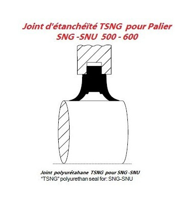 TRIGANO Joint d'étanchéité porte type PARAPRESS