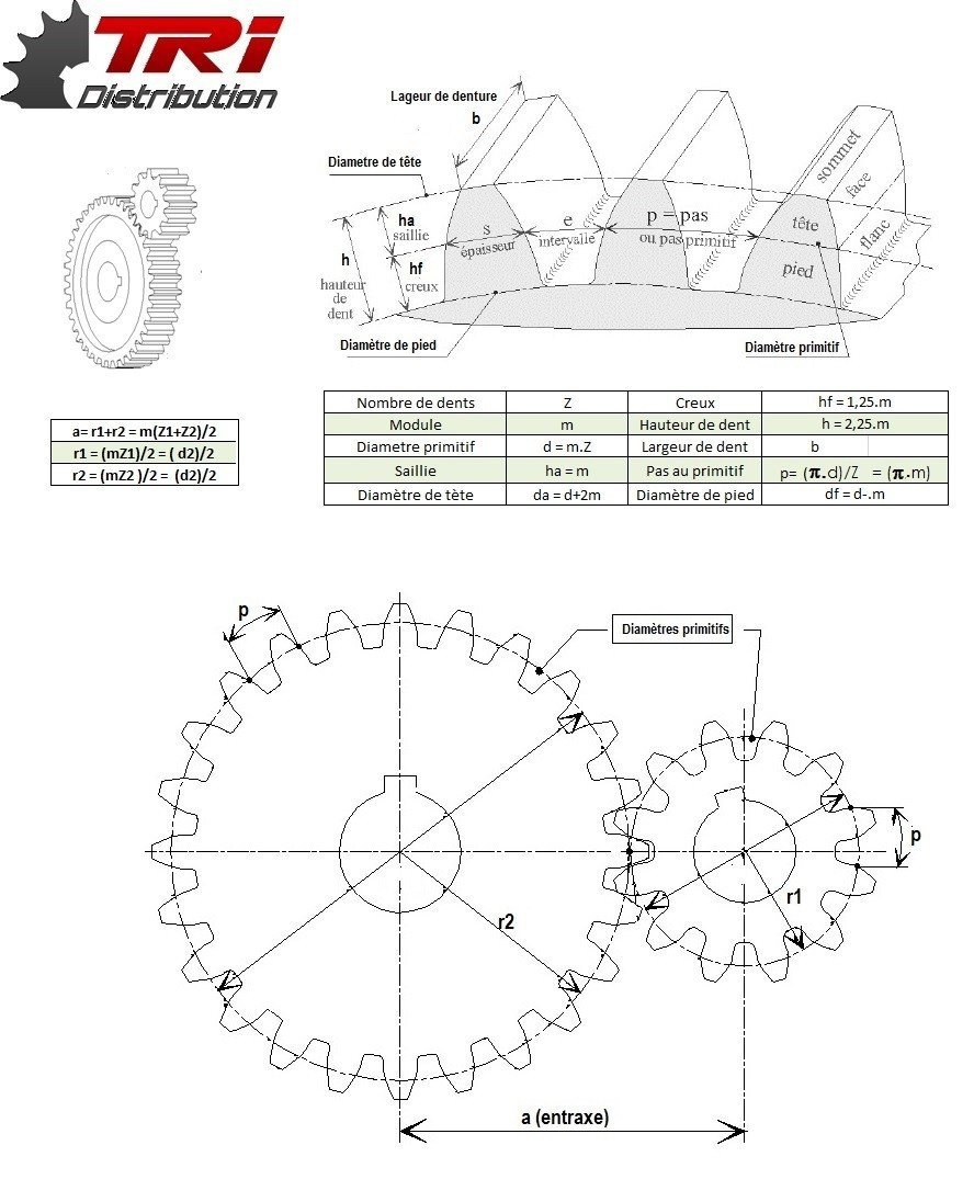 https://www.tridistribution.fr/4000/engrenage-module-1.jpg