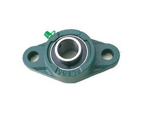 Paliers Applique, 2 Trous de Fixation, Type Ucfl, En Stock