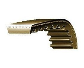 Courroies Dent es Htd 14M Pas De 14Mm En Stock Particuliers Et Pro